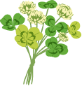 クローバーのイラスト