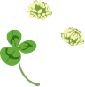 クローバーのイラスト